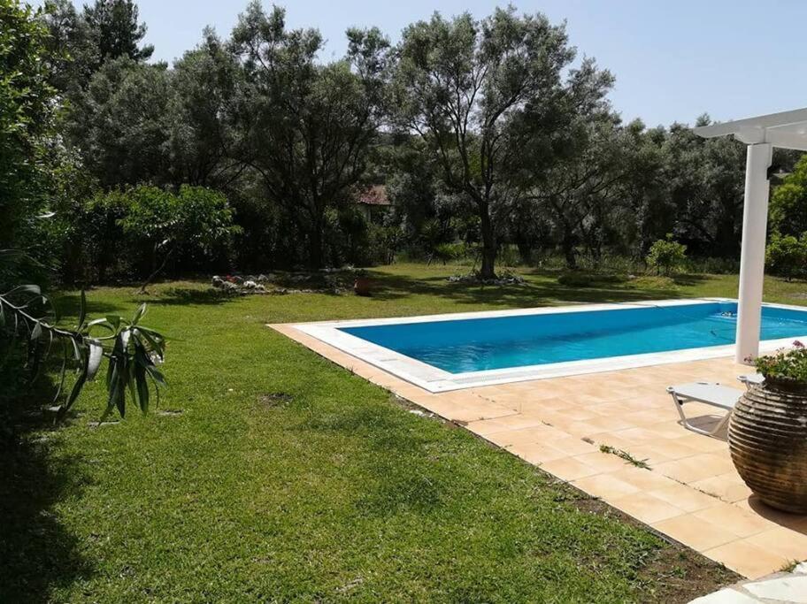 Villa Erietta Near Lefkas Center Apólpena Kültér fotó