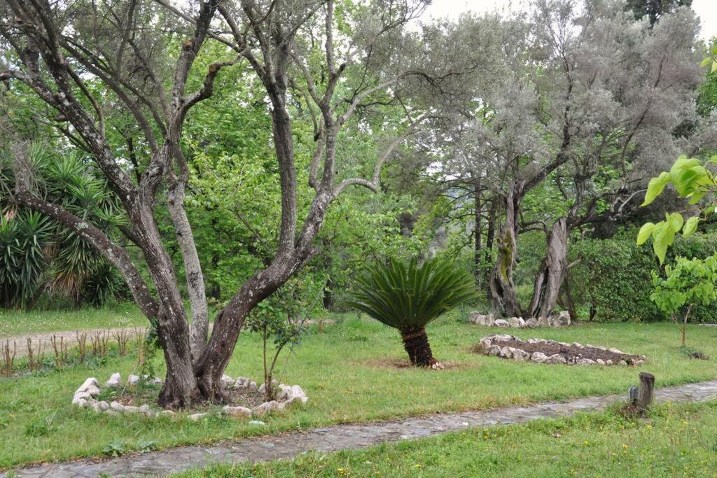 Villa Erietta Near Lefkas Center Apólpena Kültér fotó